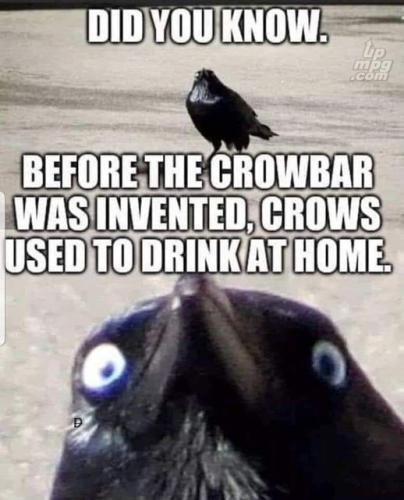 main-qimg-62d12fc464a58387eb71019b2fc3c5e4