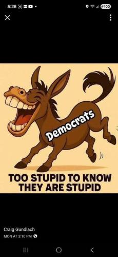 DemsStupid