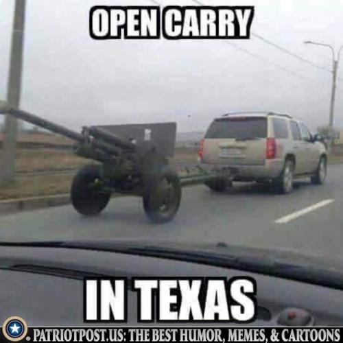 01KG8B4P99X8AMCPJREZ9TTTMY