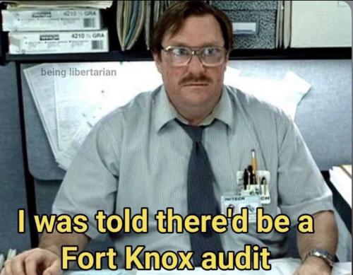 fort-knox-audit