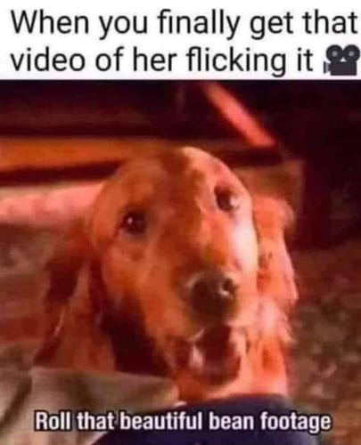 8B5C09A8-78D5-4D80-AA63-F4B77654EE51