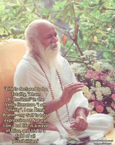 ,          ,  0424775766_746362