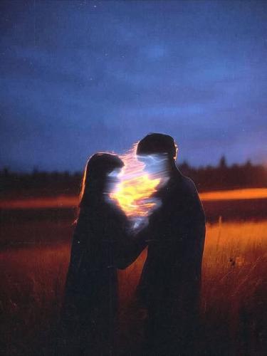 ,                             ,    ,