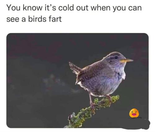 IMG_20260125_113519_661