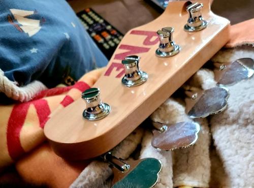 FB_IMG_1768312173597