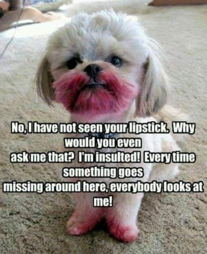 8579ec9b6123c958754a59c4d71bf59f