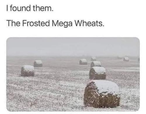 frosted-mega-wheats