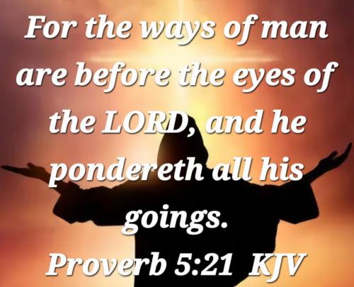 99bc2c87-ad0a-472e-bee3-482a56a20612