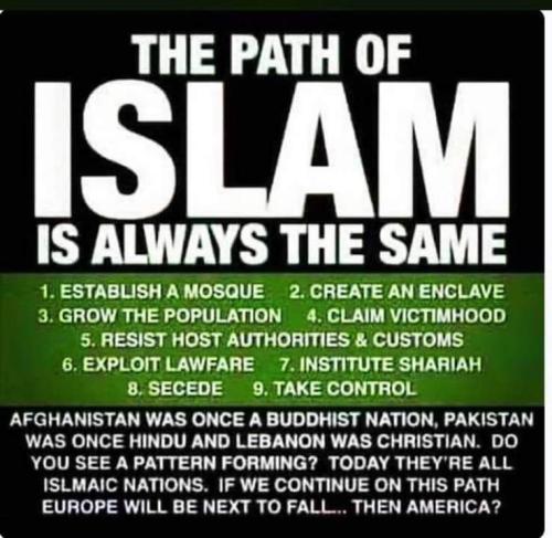 FB_IMG_1553585757615 (2)_013435