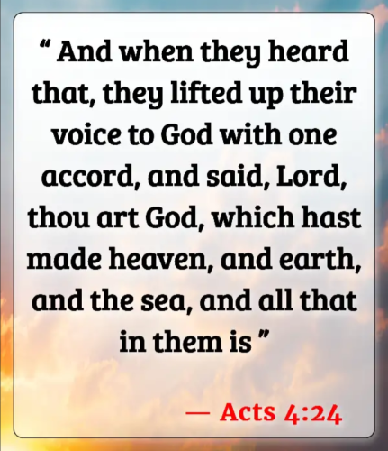 Screenshot_20260120-185444-780