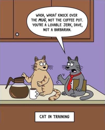 coffee-cat-cartoon