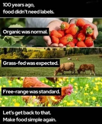 6cb8468b650c0f61d6ed4c05dea15eae