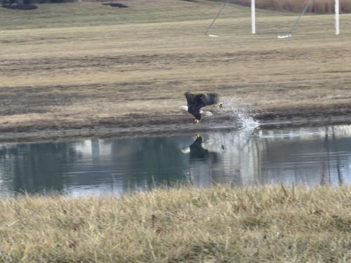 2e0fe84c-805c-45ff-bcc5-dea9c828fda2