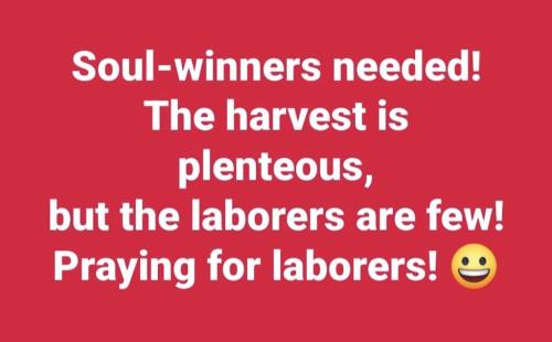 fc0235fa-1a44-4dd1-a734-8492937cbeb7