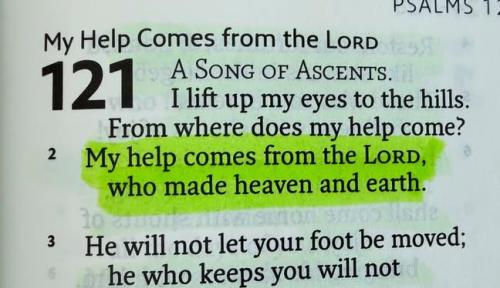 IMG_20260118_160557_788