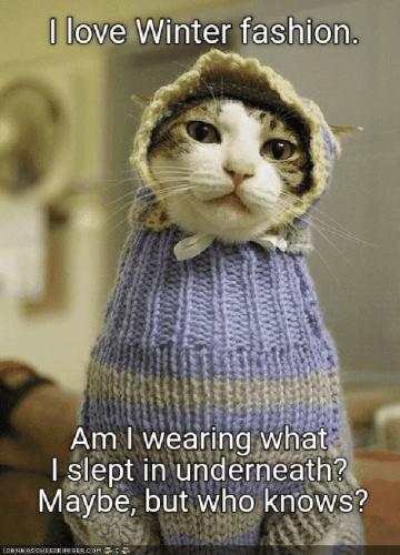 YpcXksnMsu1DP6wvK2eE_22_1d2f53a58233be902fde60752935f6ec_image