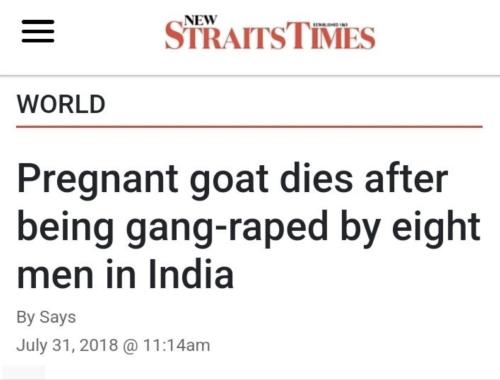 IMG_20260129_090750_041