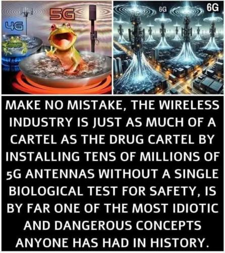 FB_IMG_1768405416516