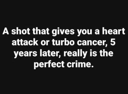 89511f87a73e7ff32fa5742fa7fedfa9