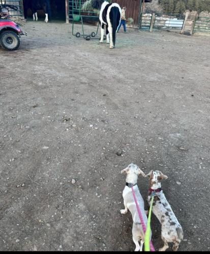 Screenshot_20250906-043751_1