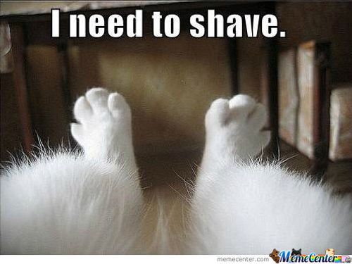alaska-winter-memes-shaving-1