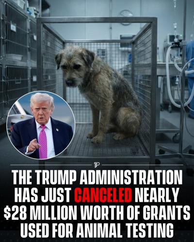 615084248_929895629722900_2364565420424635536_n