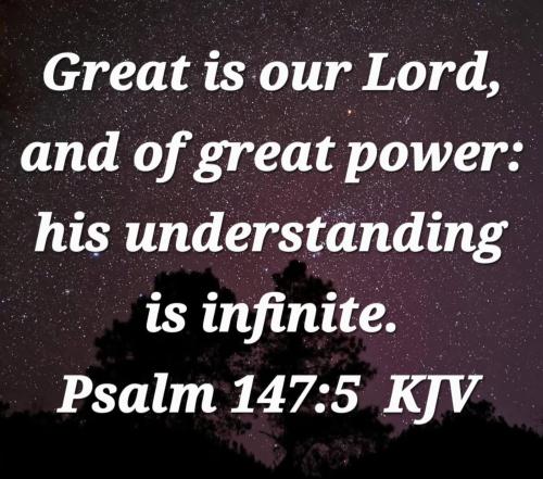 0cff3131-84b0-4320-8614-0e7af2a65336