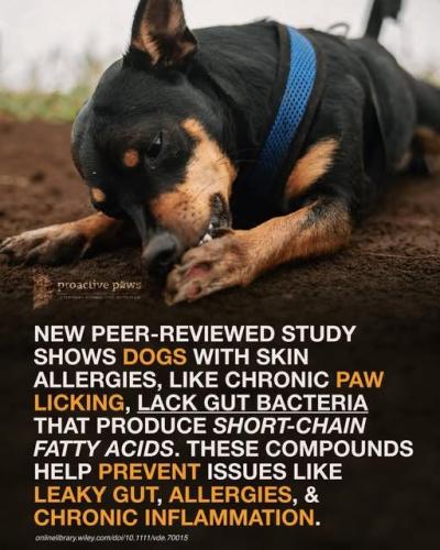 615923882_25556356610687137_3457615131548785659_n