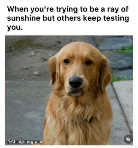 73993294e492bacf562fb51bc8f5c835