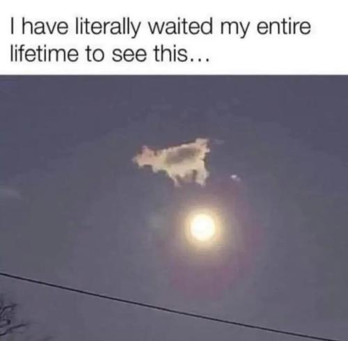 image_42D66BCC-EDEE-408D-9B6D-6A4F931AD8F1