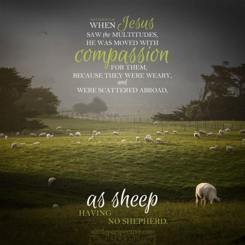 mat-9-36-KJV-unsplash