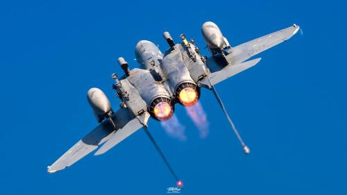 54995759950_c223a3aee9_b