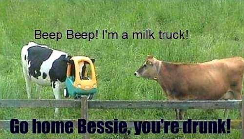 Screenshot_20251231_152611_InShot