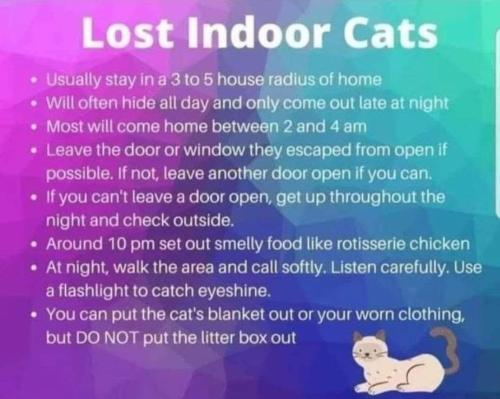 FB_IMG_1747457120386