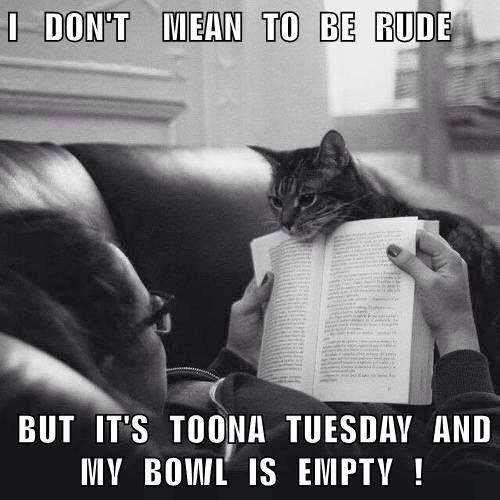 0a270dbe5160adb89ece64bb9360878d