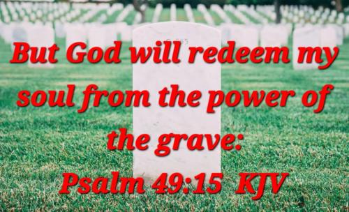 526c81d1-b5ea-4d56-bb68-ebc72ee2d676