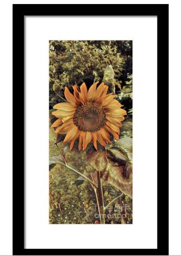 Screenshot_20260122_135715_Brave