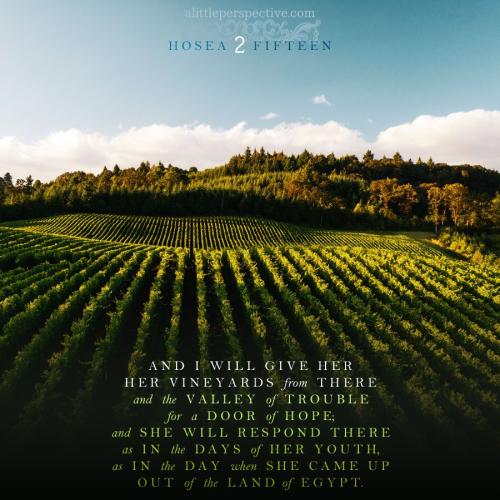 hos-2-15-KJV-unsplash