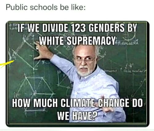 Young generation lack brain cells when it comes to logical thinking