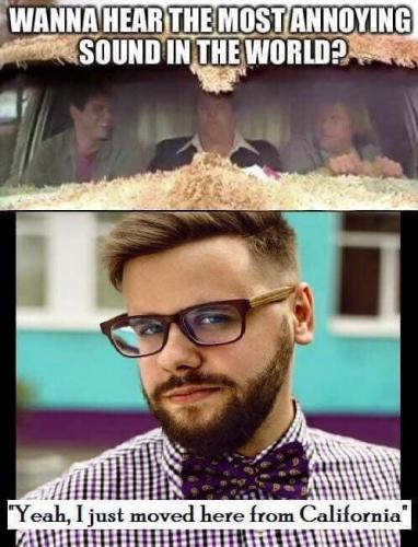 image_94FE41A0-BE98-451D-B3DB-BFE8416A4BB9