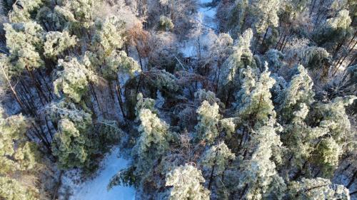 dji_fly_20260126_161016_91_1769465425628_photo_optimized