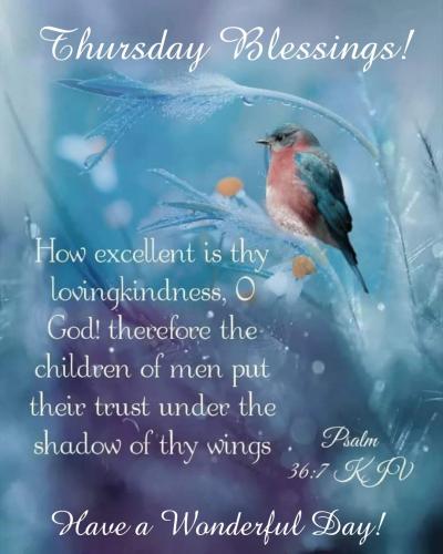 FB_IMG_1769091435369