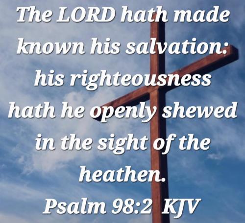 6d97bb04-459e-4f58-8c5b-e442f07411b5