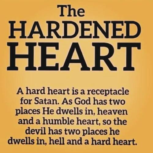 IMG_20260125_164446_978