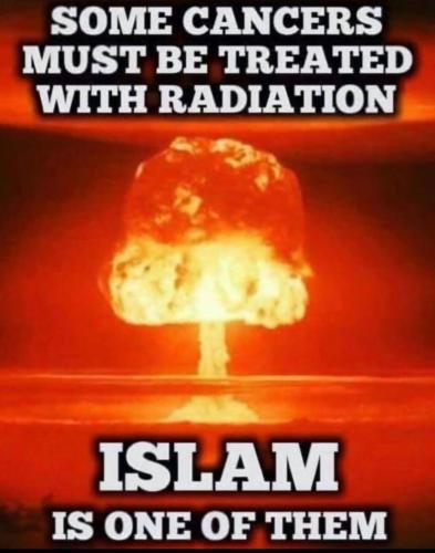 image_88612925-2872-4051-9AA7-13C68FDAE204