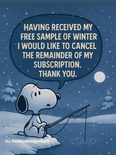 17684772484621402879345572659143_452250345977426