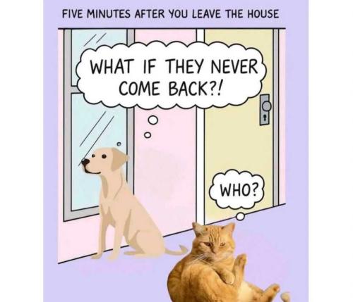 3dNiVlLAFr9fmsPgNydH_31_e4fae1c41eb2da6cc9f7891ada340496_image