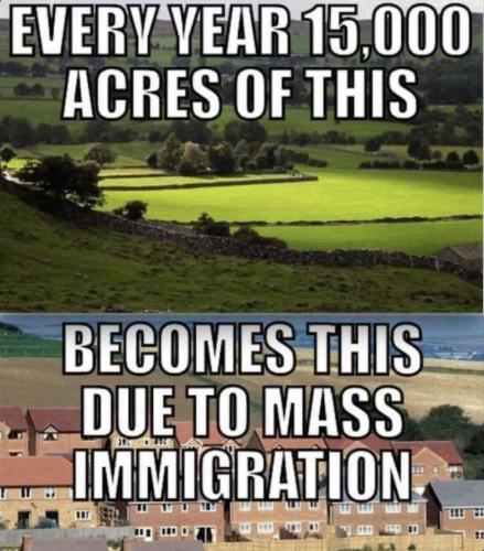 IMG_20260126_085403_938