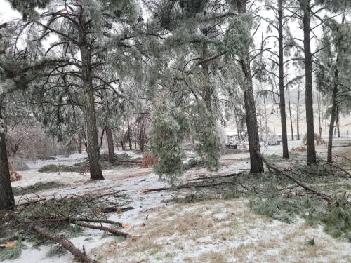 33961db1-3d75-416b-a90a-d98d1db08e16