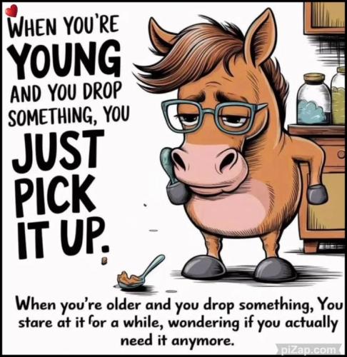 1ae2633b4846dddf68639dde2f1f799a